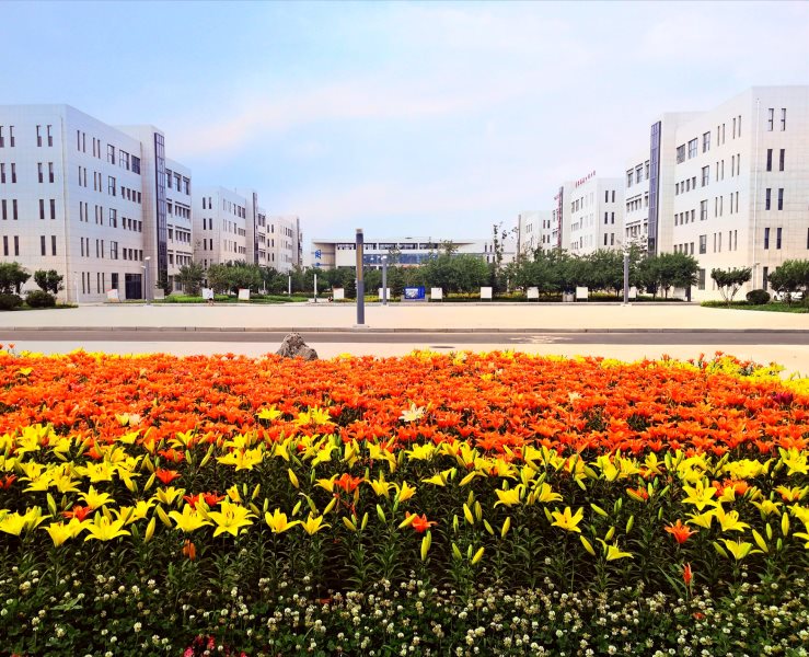 校园风采