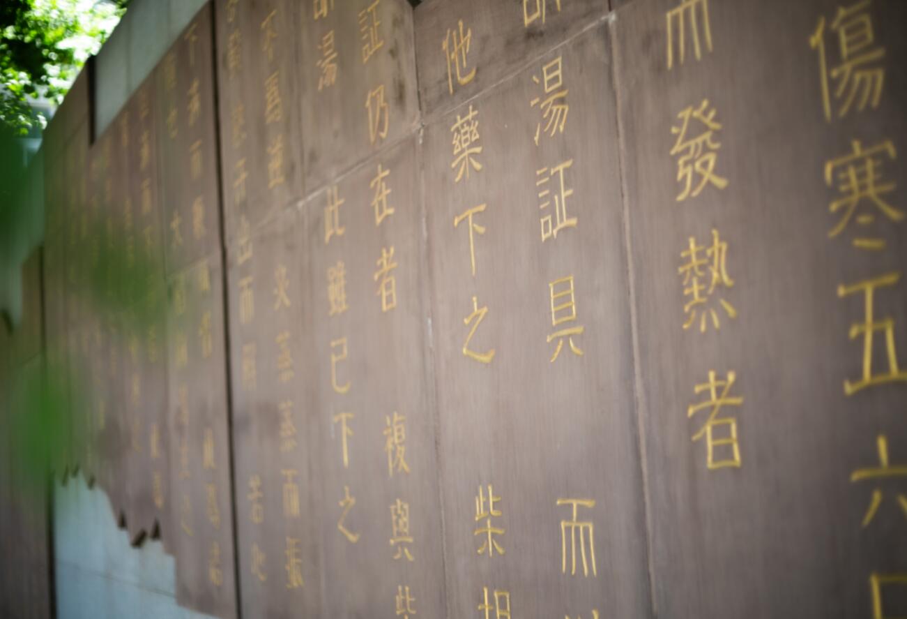 伤寒墙