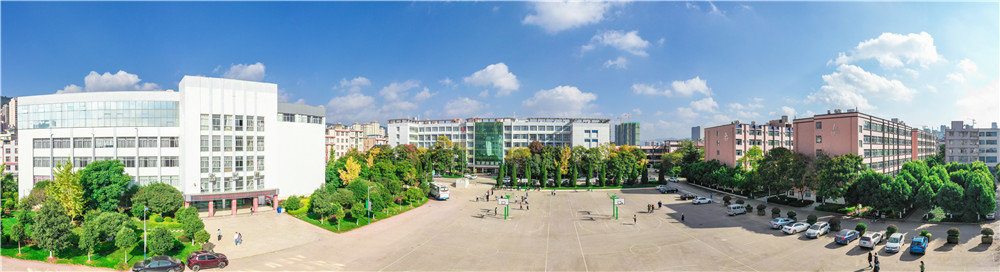 大景