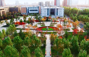 DJI_0126